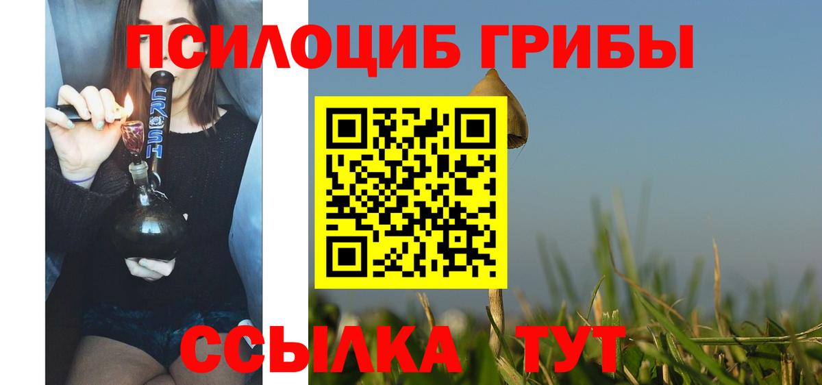Богородицк  Псилоцибиновые грибы Cubensis  Вход с VPN 